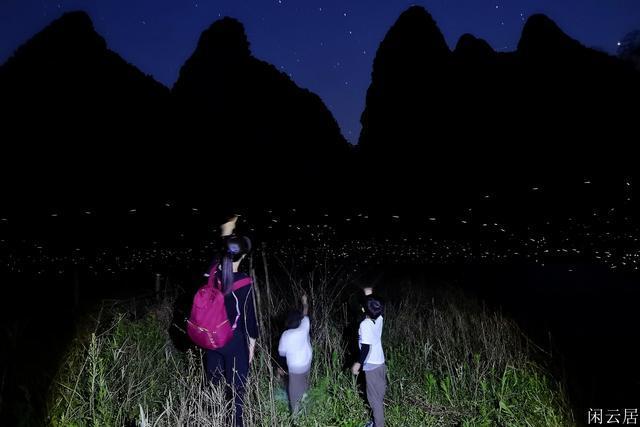 探索佛手柑和柠檬的区别?,解答您的疑惑